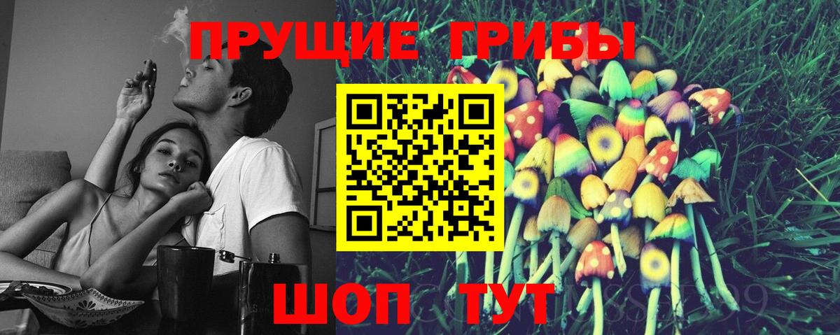 Волоколамск  Псилоцибиновые грибы Cubensis  Вход с VPN 